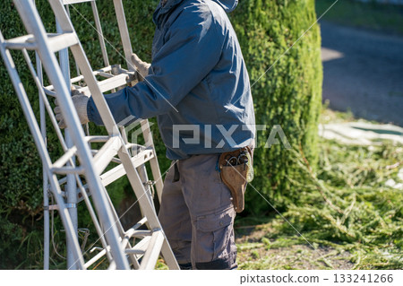 pruning, garden, male 133241266