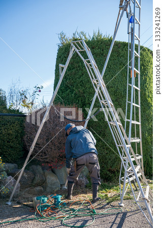 pruning, male, males 133241269