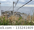 Enoshima scenery 133241409