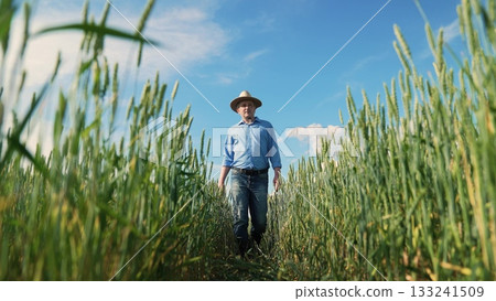 Farmer walking through wheat field, Man in hat in green field under blue sky, Agriculture worker among crops, Summer day on the farm, Rural life scene with farmer, Crop inspection in progress, Wheat Farmer walking through wheat field, Man in hat in green field under blue sky, Agriculture worker among crops, Summer day on the farm, Rural life scene with farmer, Crop inspection in progress, Wheat 133241509