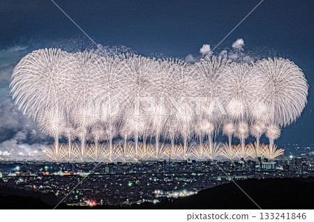 長岡煙火節鳳凰與白菊花 133241846