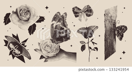 Vintage halftone collage with butterfly and rose Vintage halftone collage with butterfly and rose 133241954