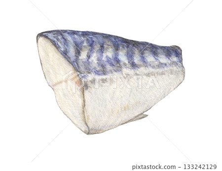 鯖魚片水彩鉛筆插圖 133242129