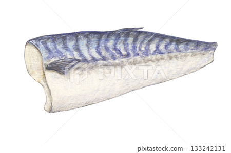 Half a mackerel watercolor pencil illustration 133242131