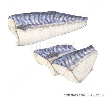 鯖魚半片和魚柳水彩鉛筆插圖 133242132