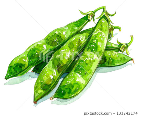 Edamame watercolor illustration 133242174