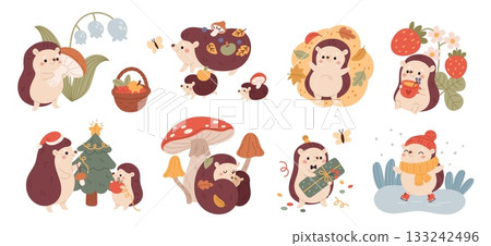 Cute hedgehog. Funny little animal with different poses and actions, forest life, happy adorable characters, autumn and winter, cartoon flat style isolated woodland garish vector set 133242496