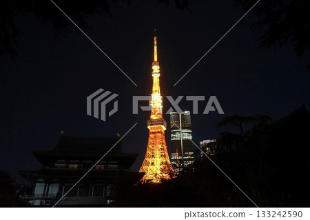 Tokyo Tower and Zojoji Temple illuminated in their normal colors November Minato Ward 2093 Normal colors Tokyo Tower and Zojoji Temple Tokyo Tower and Zojoji Temple illuminated in their normal colors November Minato Ward 2093 Normal colors Tokyo Tower and Zojoji Temple 133242590