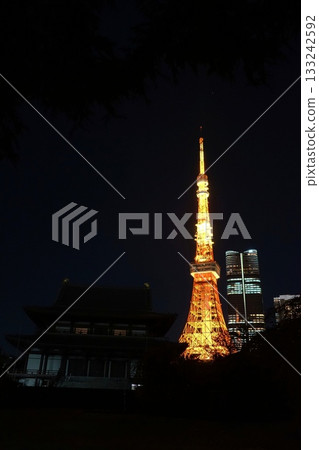 Tokyo Tower and Zojoji Temple illuminated in their normal colors November 2095 Minato Ward Tokyo Tower and Zojoji Temple illuminated in their normal colors 133242592