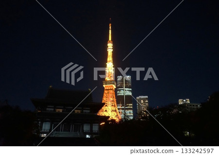 Tokyo Tower and Zojoji Temple illuminated in their normal colors November 21:00 Minato Ward Tokyo Tower and Zojoji Temple illuminated in their normal colors 133242597