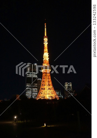 2101年11月,東京鐵塔夜景燈光璀璨,位於港區,顏色正常,東京鐵塔,芝王子公園 2101年11月,東京鐵塔夜景燈光璀璨,位於港區,顏色正常,東京鐵塔,芝王子公園 133242598