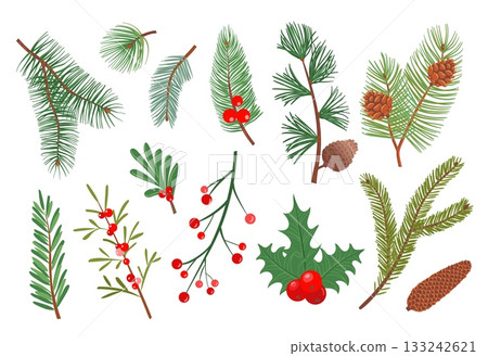 Christmas tree branches. New year decorative plants, winter holiday, evergreen fir sprigs with pine cones, red rowan berries, conifer and cedar foliage isolated splendid vector botanical set Christmas tree branches. New year decorative plants, winter holiday, evergreen fir sprigs with pine cones, red rowan berries, conifer and cedar foliage isolated splendid vector botanical set 133242621