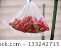 Takanotsume (chili peppers) drying in a net 133242715