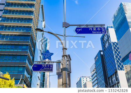 首爾江南區的林蔭道 首爾江南區的林蔭道 133242826