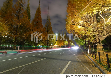 明治神宮外苑銀杏排樹 明治神宮外苑銀杏排樹 133242998