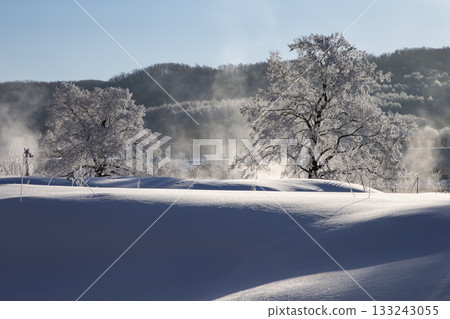 Lake Abashiri in the dead of winter 133243055