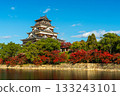 Hiroshima Castle 133243101
