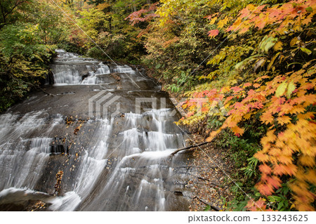 Autumn leaves at Eniwa Valley 133243625
