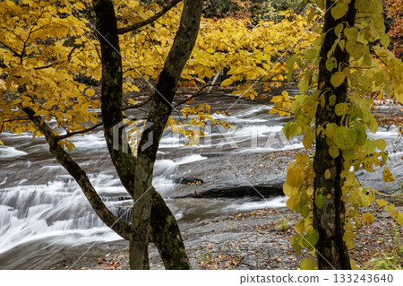 Autumn leaves at Eniwa Valley 133243640