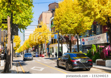 首爾江南林蔭道的秋天 133244013