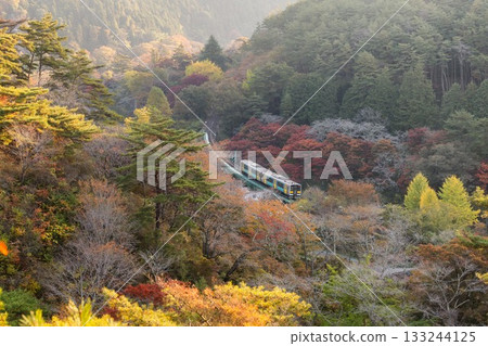 山津里山公園的秋葉 133244125