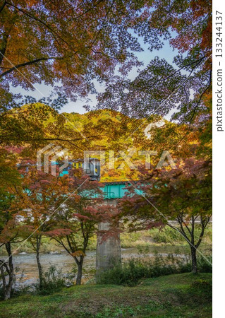 山津里山公園的秋葉 133244137