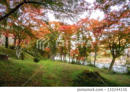 山津里山公園的秋葉 133244138