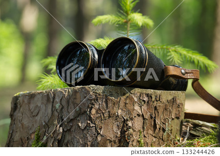 Vintage Binoculars Resting On Forest Stump Amid Green Pines for Outdoor Adventure Scene Photography 133244426