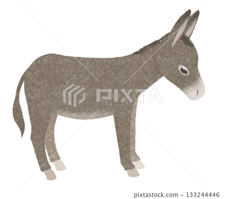 驢的插圖 驢的插圖 133244446