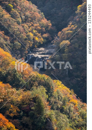 茨城縣醍醐町袋田瀑布周圍的秋葉 133244493