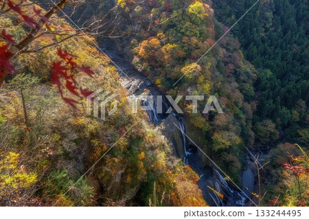 茨城縣醍醐町袋田瀑布周圍的秋葉 茨城縣醍醐町袋田瀑布周圍的秋葉 133244495