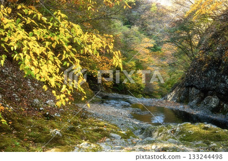茨城縣醍醐町袋田瀑布周圍的秋葉 133244498