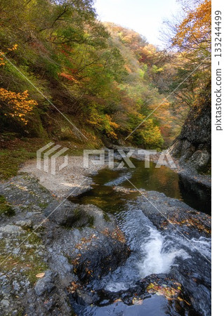 Autumn leaves around Fukuroda Falls in Daigo Town, Ibaraki Prefecture 133244499