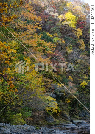 Autumn leaves around Fukuroda Falls in Daigo Town, Ibaraki Prefecture Autumn leaves around Fukuroda Falls in Daigo Town, Ibaraki Prefecture 133244501