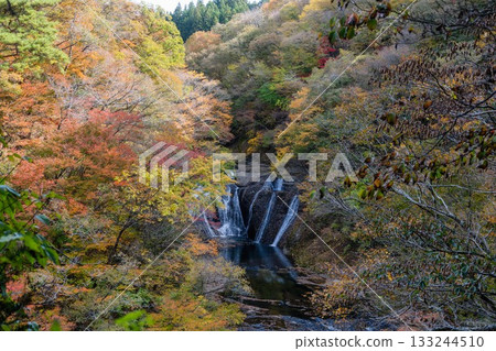 Autumn leaves around Fukuroda Falls in Daigo Town, Ibaraki Prefecture Autumn leaves around Fukuroda Falls in Daigo Town, Ibaraki Prefecture 133244510