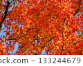 秋天的顏色 133244679