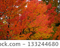 秋天的顏色 133244680