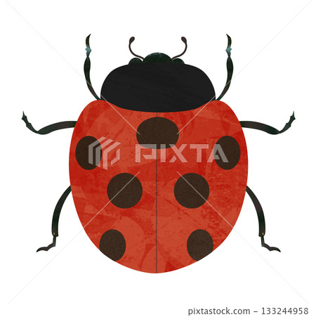 瓢蟲 133244958