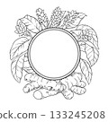 Turmeric Plant Outline Round Frame. 133245208