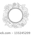 Sunflower Plant Outline Round Frame. 133245209