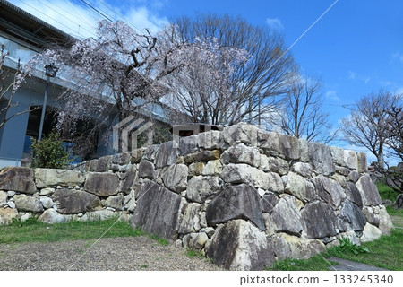 Sakamoto, Otsu City, Shiga Prefecture: Sakamoto Stonewall Village Park in front of JR Kosei Line's Hieizan Sakamoto Station (sample of Anoshu-zukuri stonewall) Sakamoto, Otsu City, Shiga Prefecture: Sakamoto Stonewall Village Park in front of JR Kosei Line's Hieizan Sakamoto Station (sample of Anoshu-zukuri stonewall) 133245340