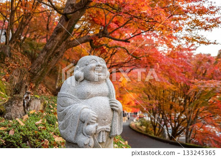 Autumn leaves in Ibaraki - Eigenji Momiji Temple Autumn leaves in Ibaraki - Eigenji Momiji Temple 133245365