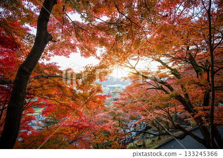 茨城縣的秋葉 - 永源寺紅葉寺 133245366