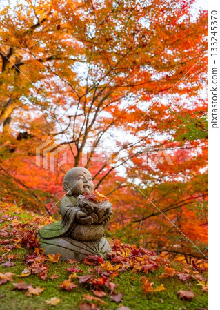 Autumn leaves in Ibaraki - Eigenji Momiji Temple Autumn leaves in Ibaraki - Eigenji Momiji Temple 133245370