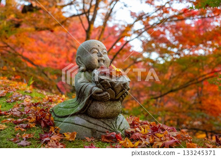 Autumn leaves in Ibaraki - Eigenji Momiji Temple Autumn leaves in Ibaraki - Eigenji Momiji Temple 133245371