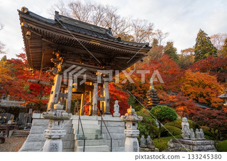 Autumn leaves in Ibaraki - Eigenji Momiji Temple Autumn leaves in Ibaraki - Eigenji Momiji Temple 133245380
