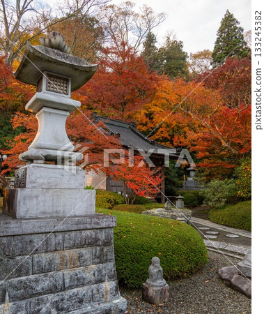 Autumn leaves in Ibaraki - Eigenji Momiji Temple 133245382