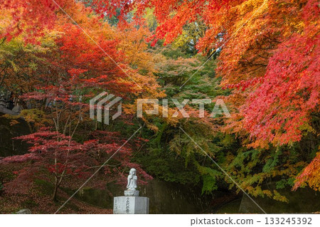 Autumn leaves in Ibaraki - Eigenji Momiji Temple Autumn leaves in Ibaraki - Eigenji Momiji Temple 133245392