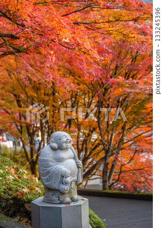 Autumn leaves in Ibaraki - Eigenji Momiji Temple Autumn leaves in Ibaraki - Eigenji Momiji Temple 133245396