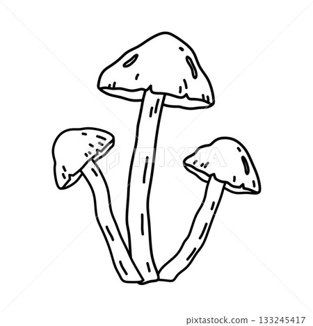 Three mushrooms isolated on a white background 133245417
